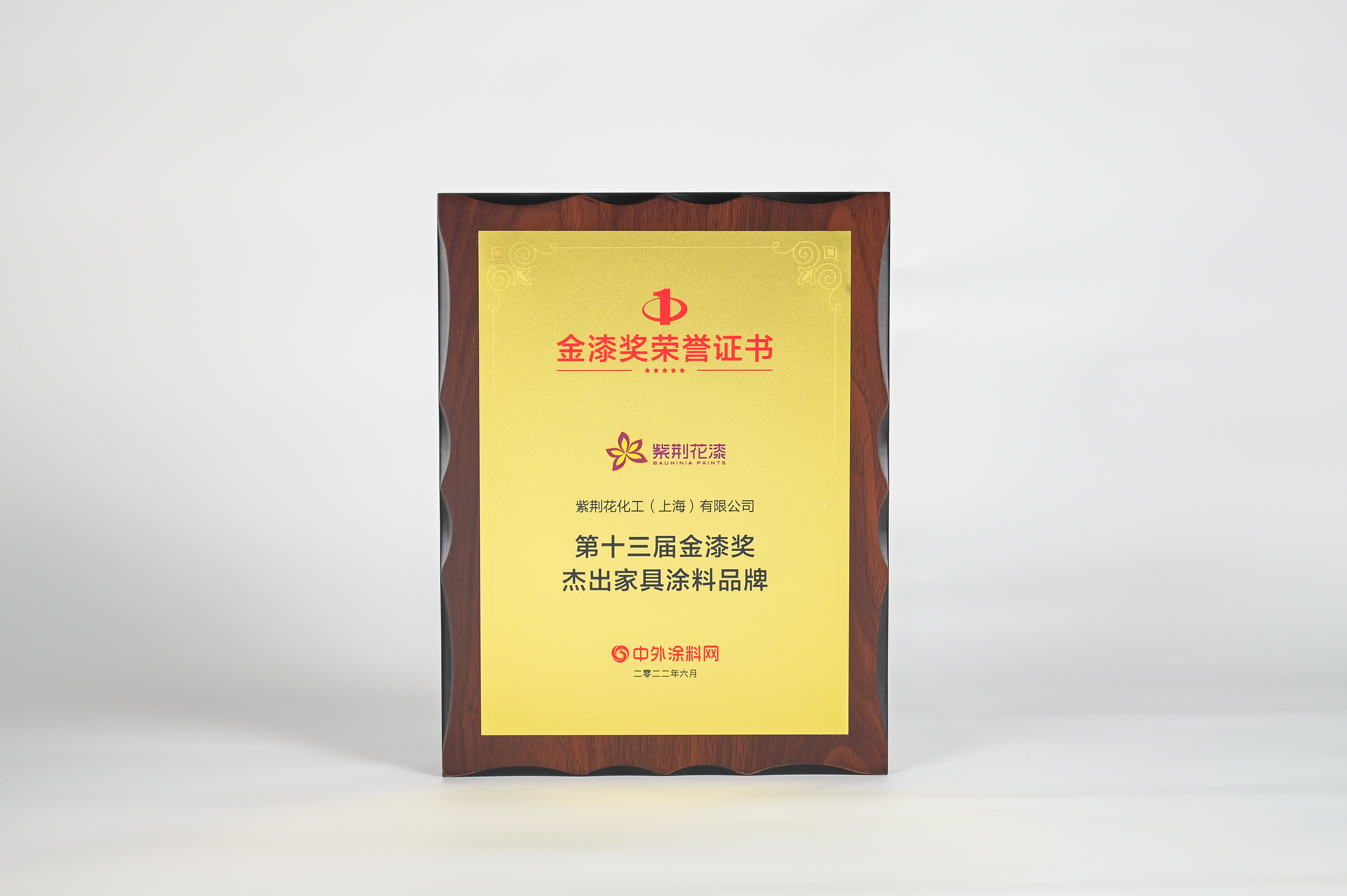第十三届金漆奖杰出家具涂料品牌.jpg