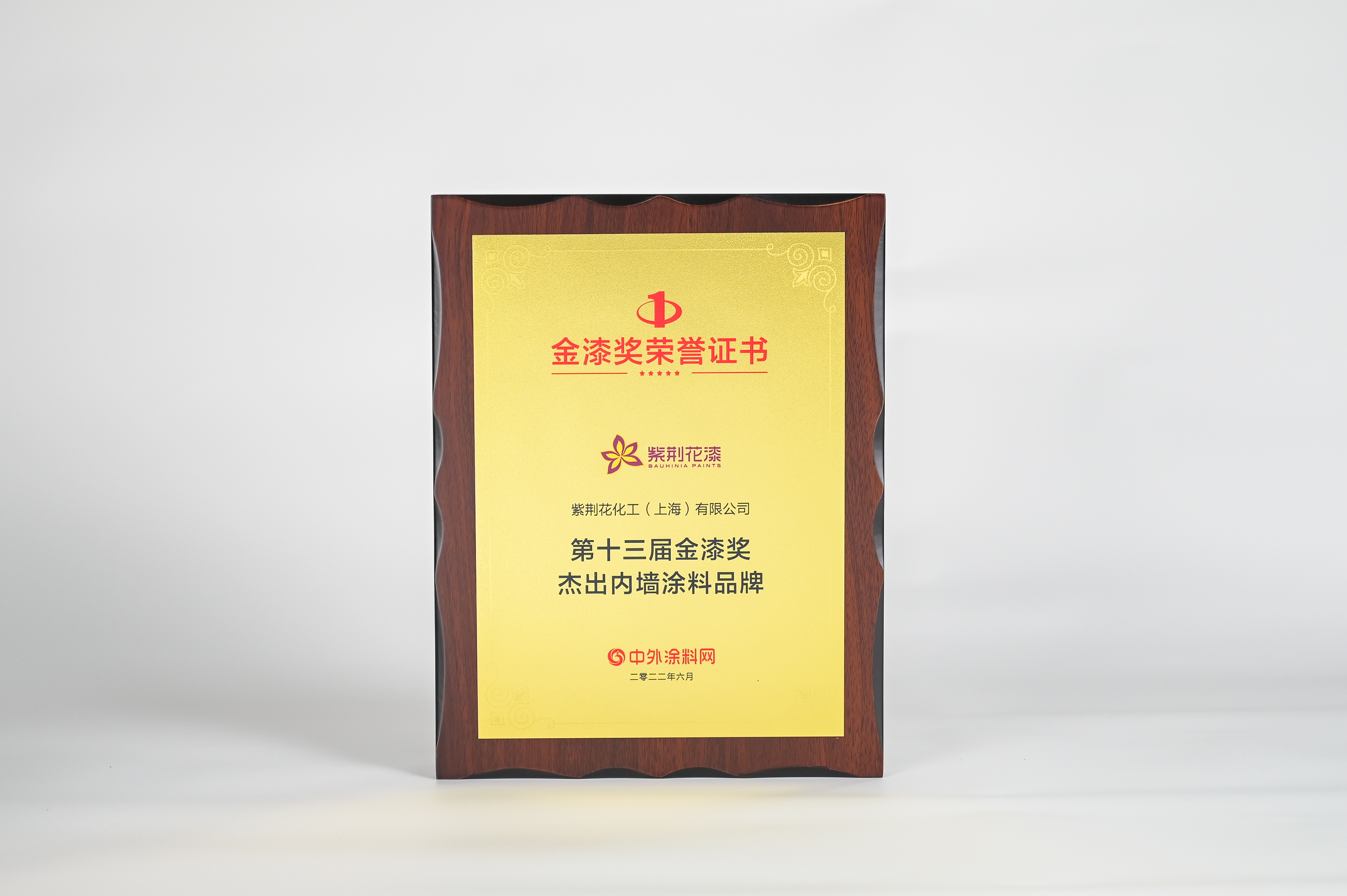 第十三届金漆奖杰出内墙涂料品牌.jpg